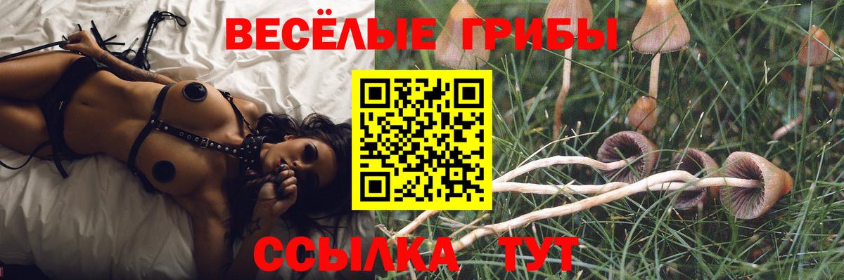 Галлюциногенные грибы ЛСД  Галлюциногенные грибы мицелий  Вход с VPN  Тольятти 