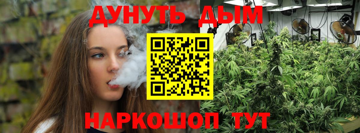 Шишки марихуана конопля  Бошки Шишки конопля  Вход с VPN  Тольятти 